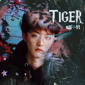 虎 TIGER