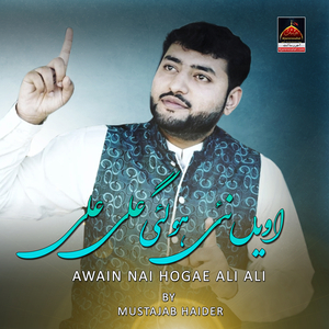 Awain Nai Hogae Ali Ali