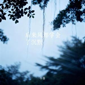 钢铁心脏
