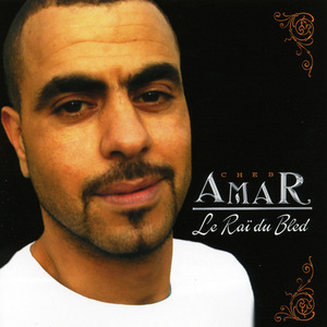 Zinha ârbi alar fia