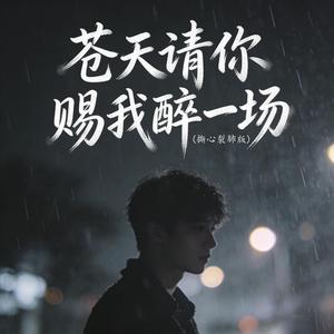 苍天请你赐我醉一场 (撕心裂肺版)