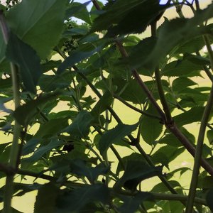 祝我的粉丝们财运亨通见者有份