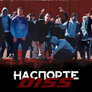 Наспорте DISS