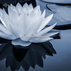 lucid dream transitions