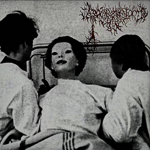 盘旋于城市上空的凶残捕食者