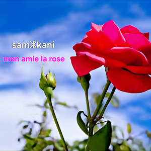 Mon ami la rose