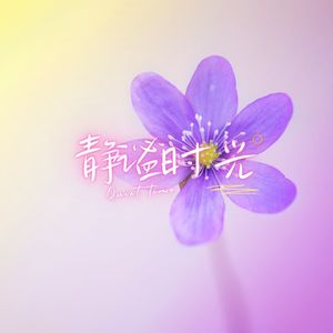 安静的清晨 (深夜阅读音乐)