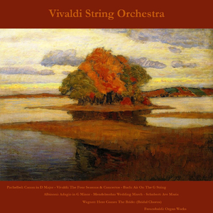 Concerto in G Minor for Violin, Strings and Continuo, Op. 8, No. 2, Rv 315, "l'estate" (Summer): I. Allegro Non Molto