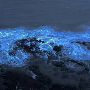 海的蓝色 深沉而忧郁吧