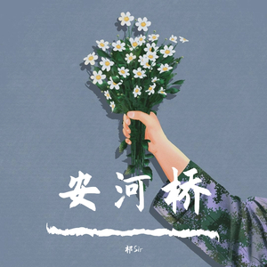 宋冬野-安河桥（祁Sir remix）