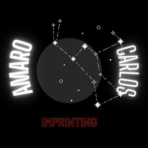 Imprinting (Original mix)