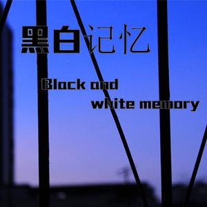 闪着泪光的决定