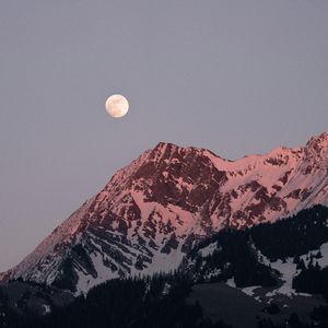 漫游星球的约定