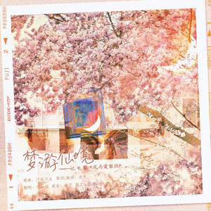 梦游仙境【记 电影《花与爱丽丝》】