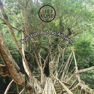 Question But No Answer