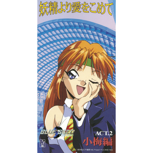 「国土管理はつらいよ沢口小梅純情バズーカ」