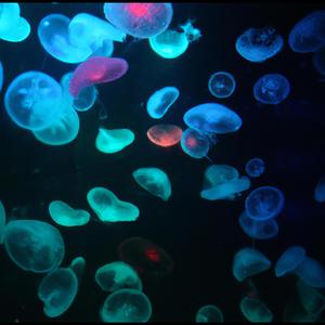 youbringmeUp (feat. MoneyKyron & Gross)