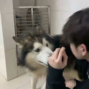 忘记