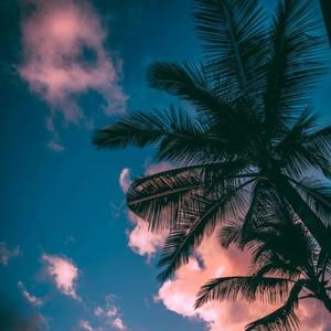 【FREE】我们错过了一整个夏天