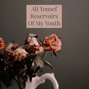 Reservoirs Of My Youth