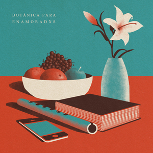 Ojalá pudiera irme caminando a tu casa