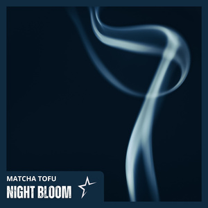 Night Bloom