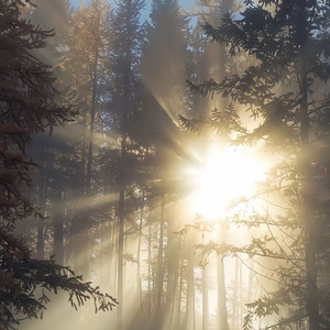 It’s ok （jane Nightbirde）