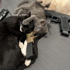 chivalry (feat. luvfredo)