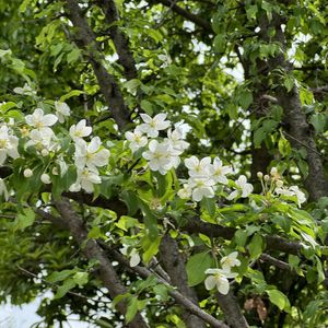 “林涧莉” CashtrippyXRICHNOMADIC