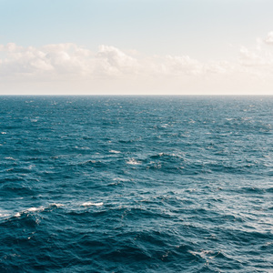 Sea Side Ambient Revitalisation