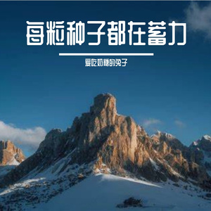 你走过的街