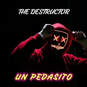 UN PEDASITO