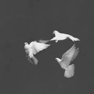 李白（李荣浩）（翻自 朱凌凌）