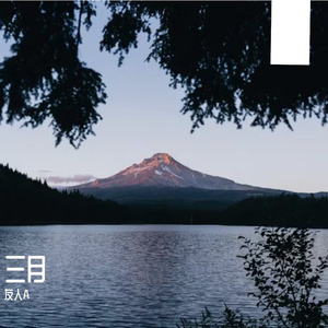 月光下的浪漫诗篇