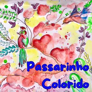 Passarinho Colorido