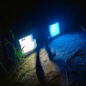 Wherehouse