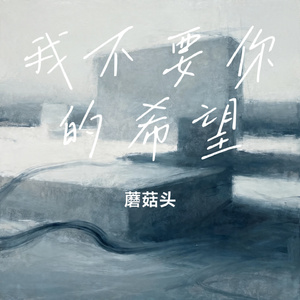 我不要你的希望