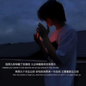 犯错 (DJ越南版)