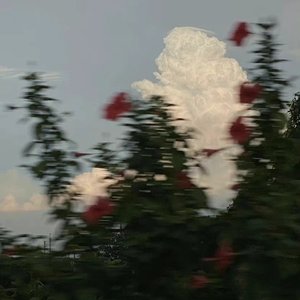 绿色（把心还给我）