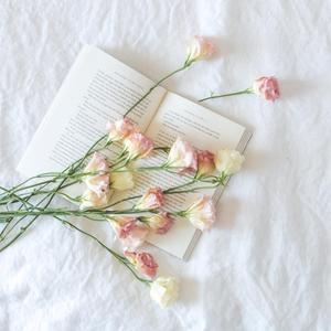 半情歌【温愈女声】（翻自 元若蓝）