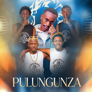 Pulungunza