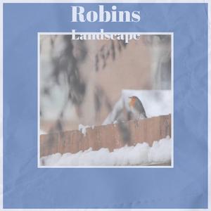 Robins Landscape