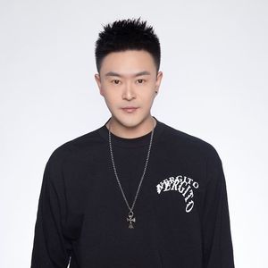 凤凰街8号 - Mixed By DJ Leo