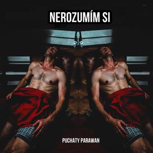 Nerozumím si