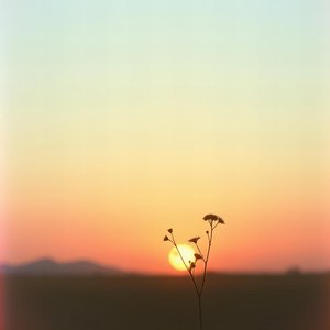 바람이 불어오면