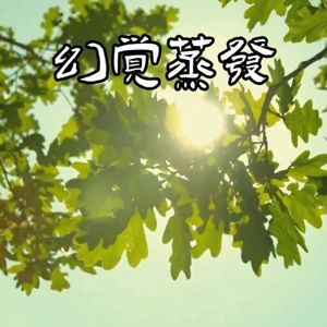 幻觉蒸发