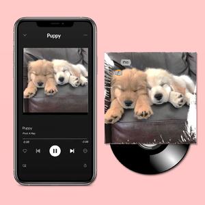 [免费]钢琴吉他R&B情歌Beat | Puppy |（Prod.K.Ray）