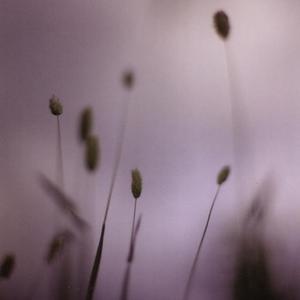 Stopping On The Broadway Bridge