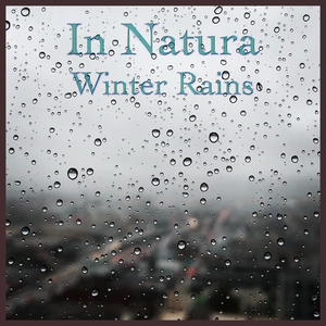 Peaceful Rain in the Garden