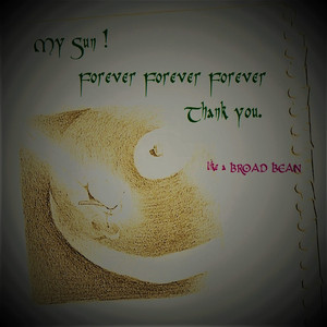 なぜ？.....坂崎出羽守 (さかざきでわのかみ) の心